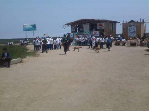 Wetlands of Ventanilla-Callao必去景点