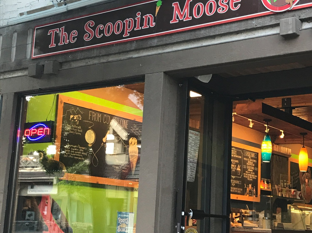The Scoopin' Moose
