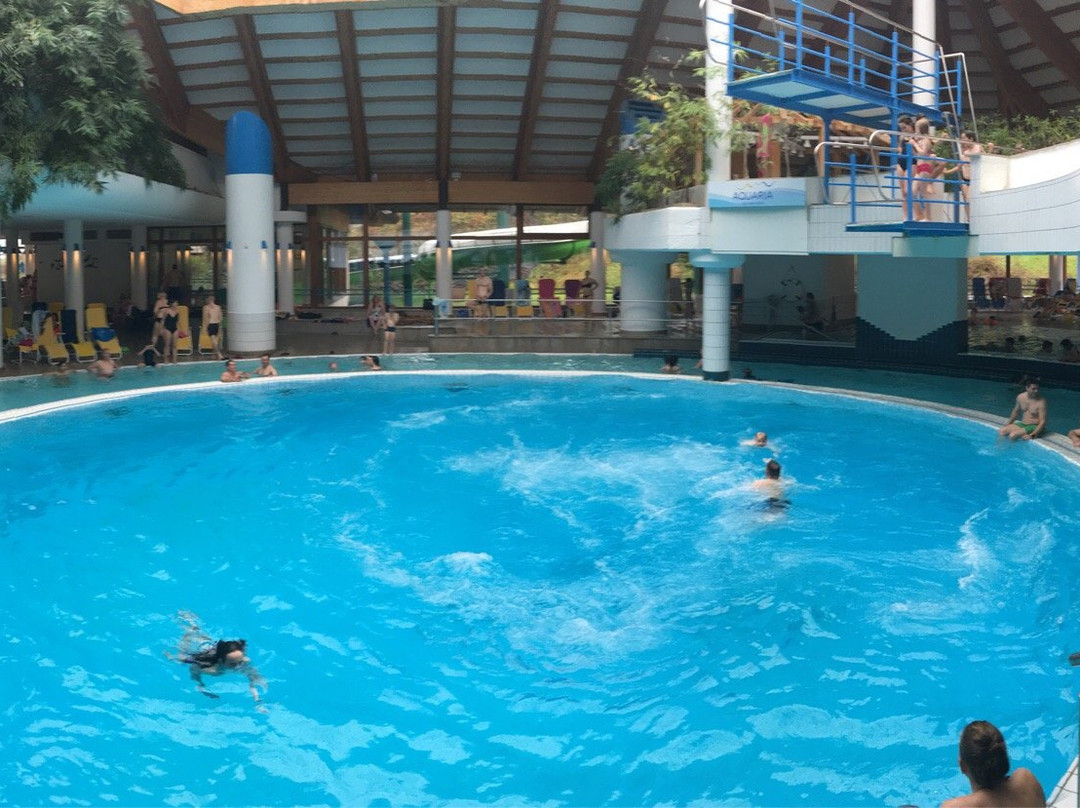 Aquaria Oberstaufen景点图片