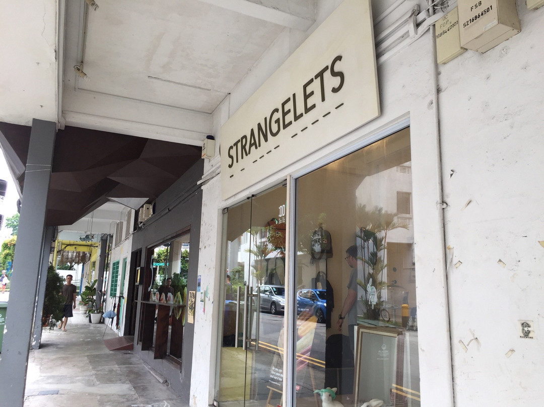 Strangelets-新加坡必去景点