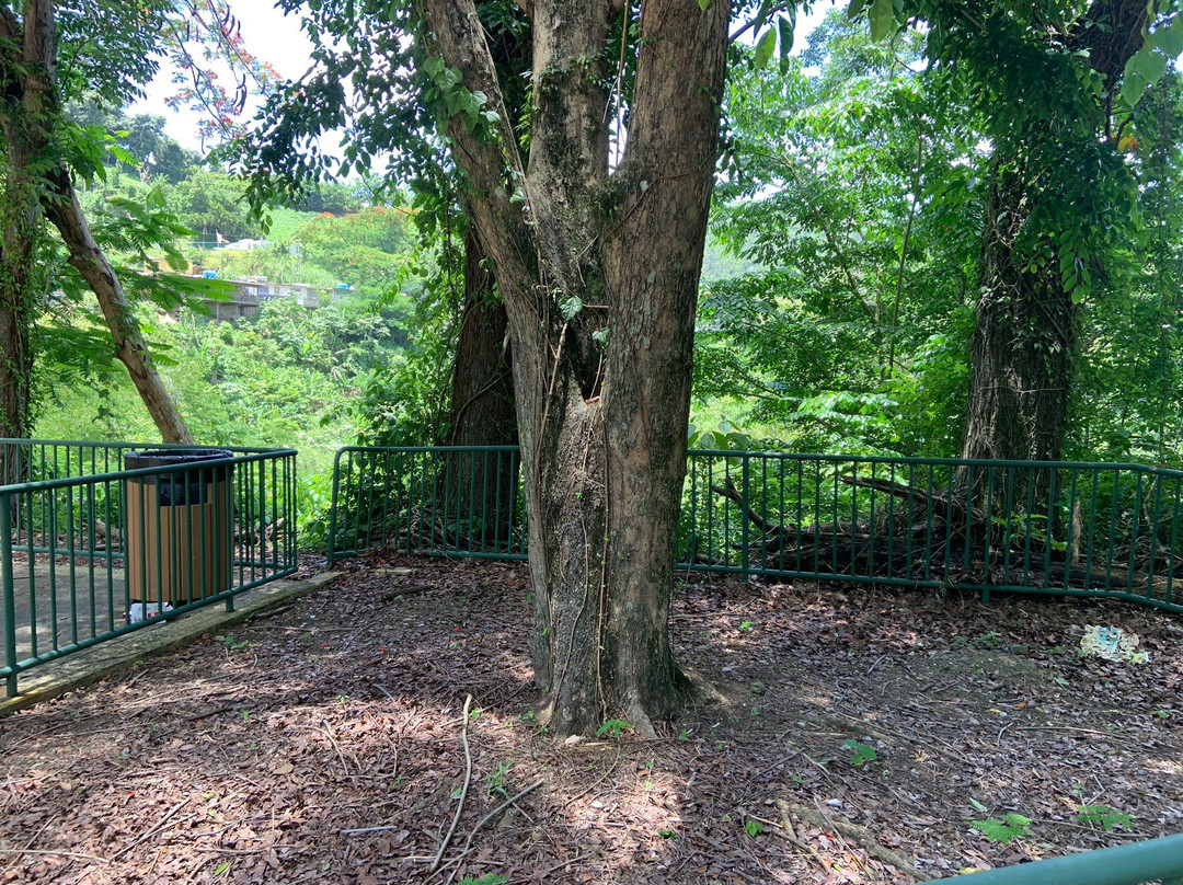 Mirador Las Lagrimas (Viewpoint)