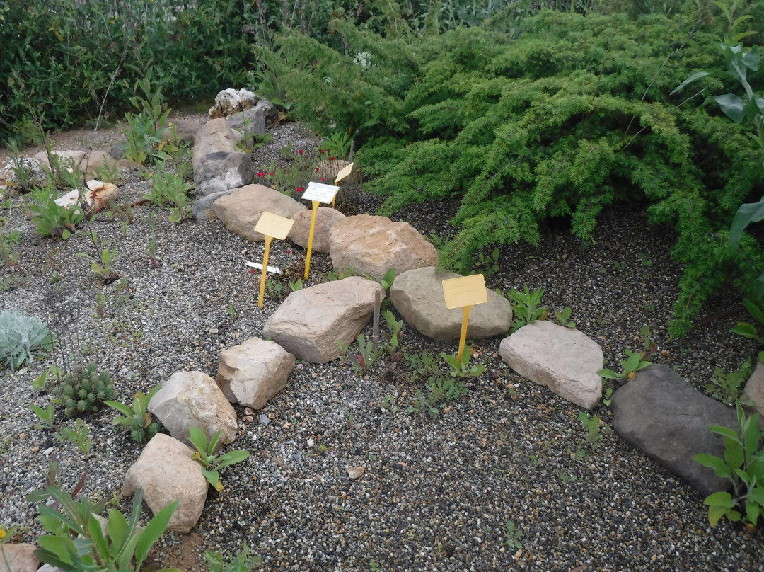 Arboretum Botanical Garden景点图片