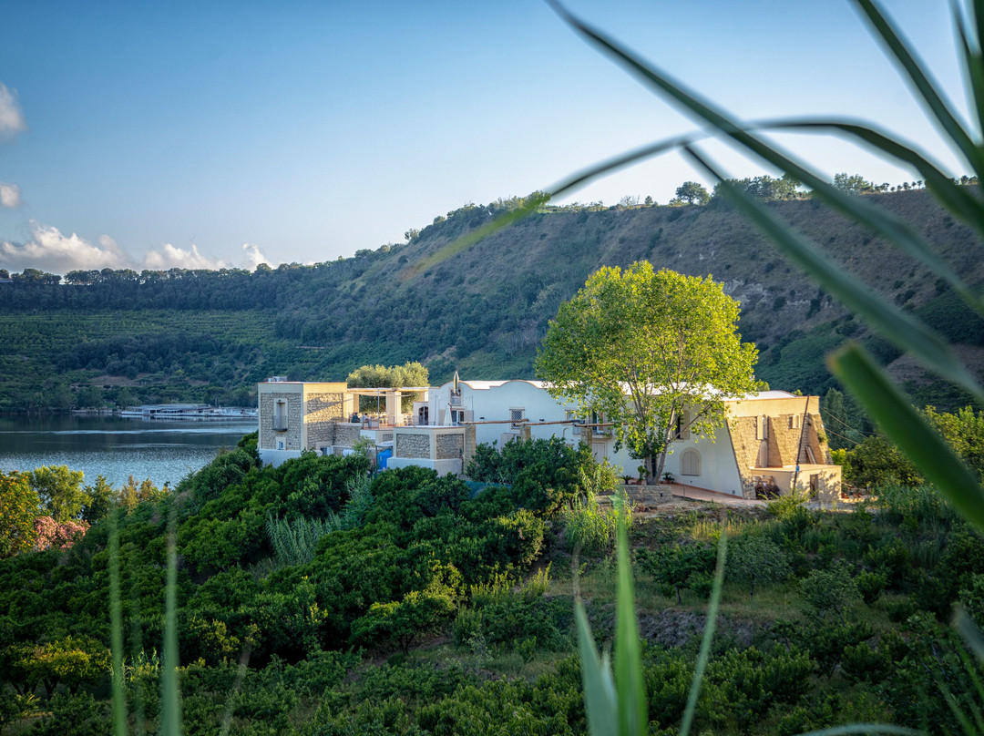 Arco Felice餐馆和美食-Masseria Sardo