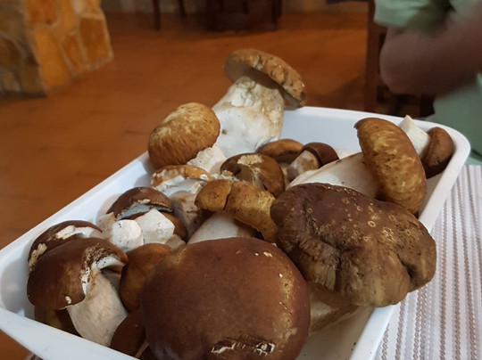 Montelanico餐馆和美食-Ristorante Pizzeria La Locanda