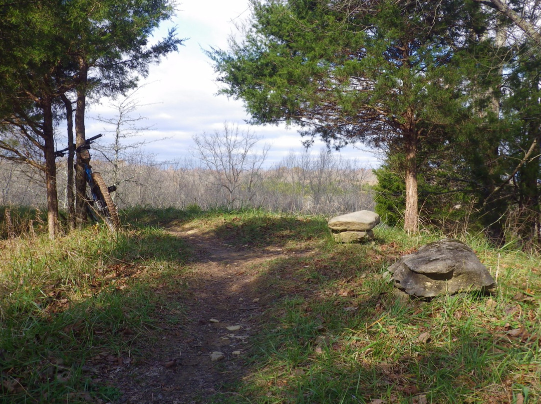 Skullbuster Mountain Bike Trail景点图片