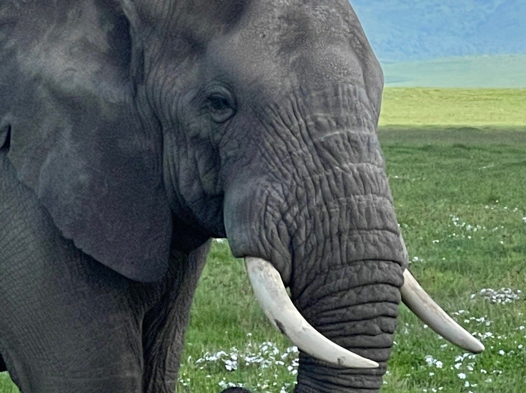 Endulen旅游攻略图片