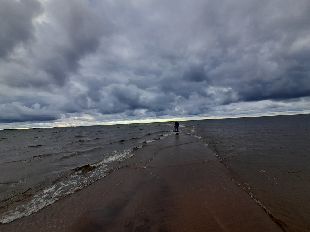 Kalajoki Marine Centre景点图片