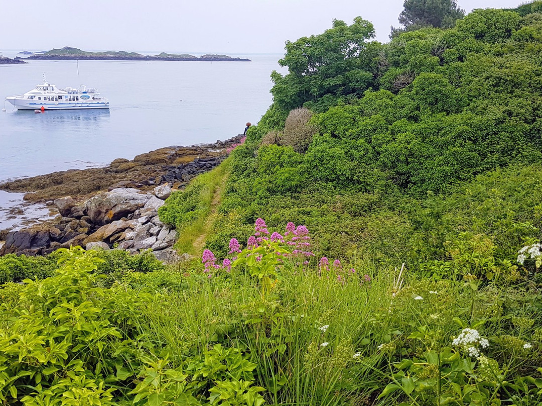 Les îles Chausey景点图片