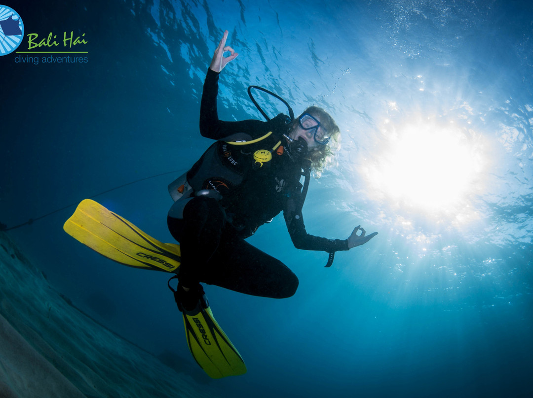 Bali Hai Diving Adventures-蓝梦岛必去景点