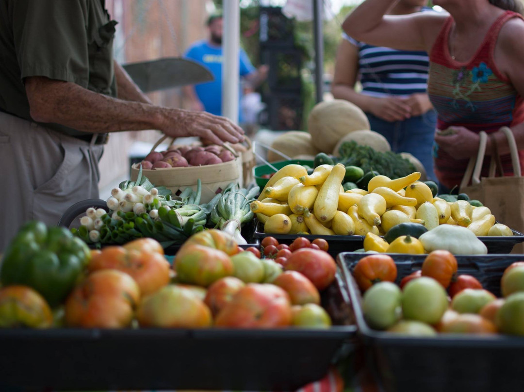 Aiken County Farmers Market景点图片