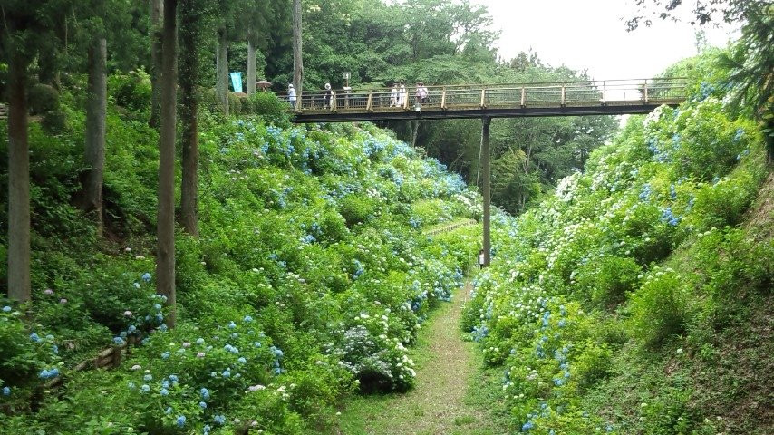 太田原市旅游景点-Kurobanejoshi Park
