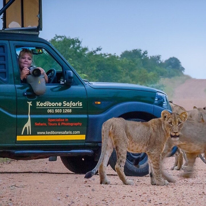 Kedibone Safaris景点图片