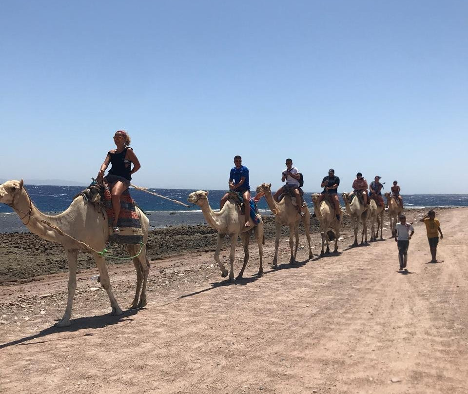 Bibo Viaggi-沙姆沙伊赫必去景点