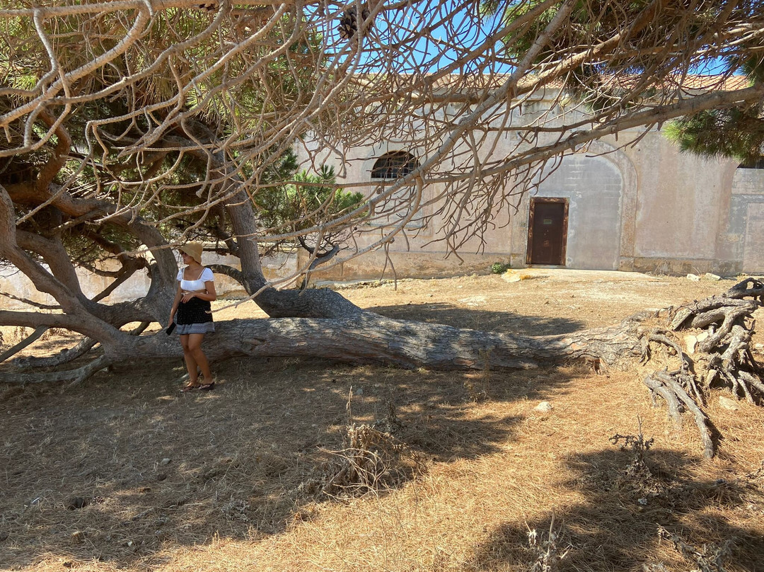 Windsurfing Center
