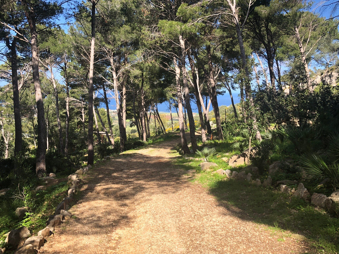 Parco Della Misericordia-Valderice必去景点