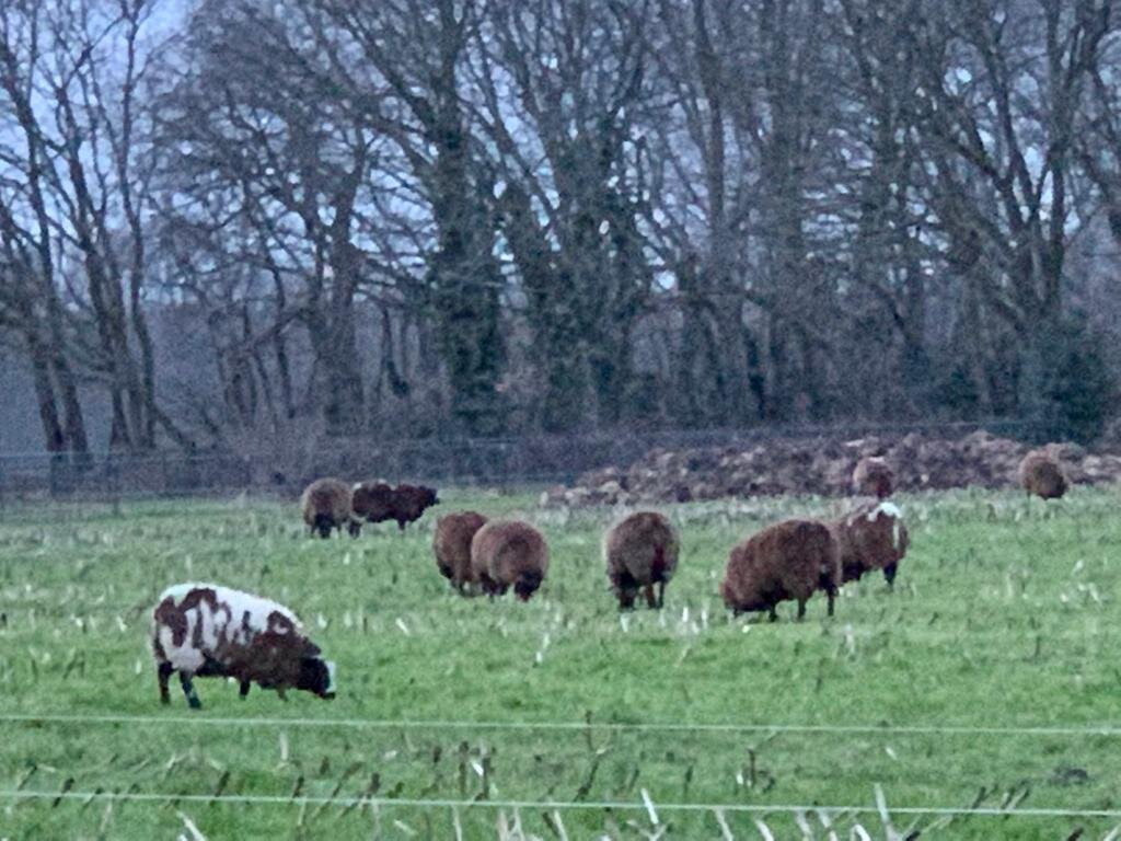 Bezoekerscentrum Nunspeet-Nunspeet必去景点