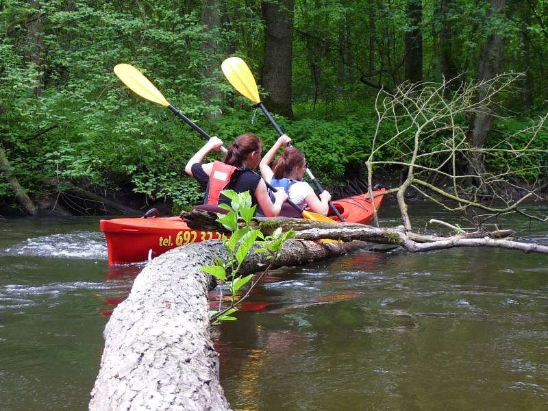 Szkoła Kajakowa - spływy kajakowe, wypożyczalnia, imprezy dla firm