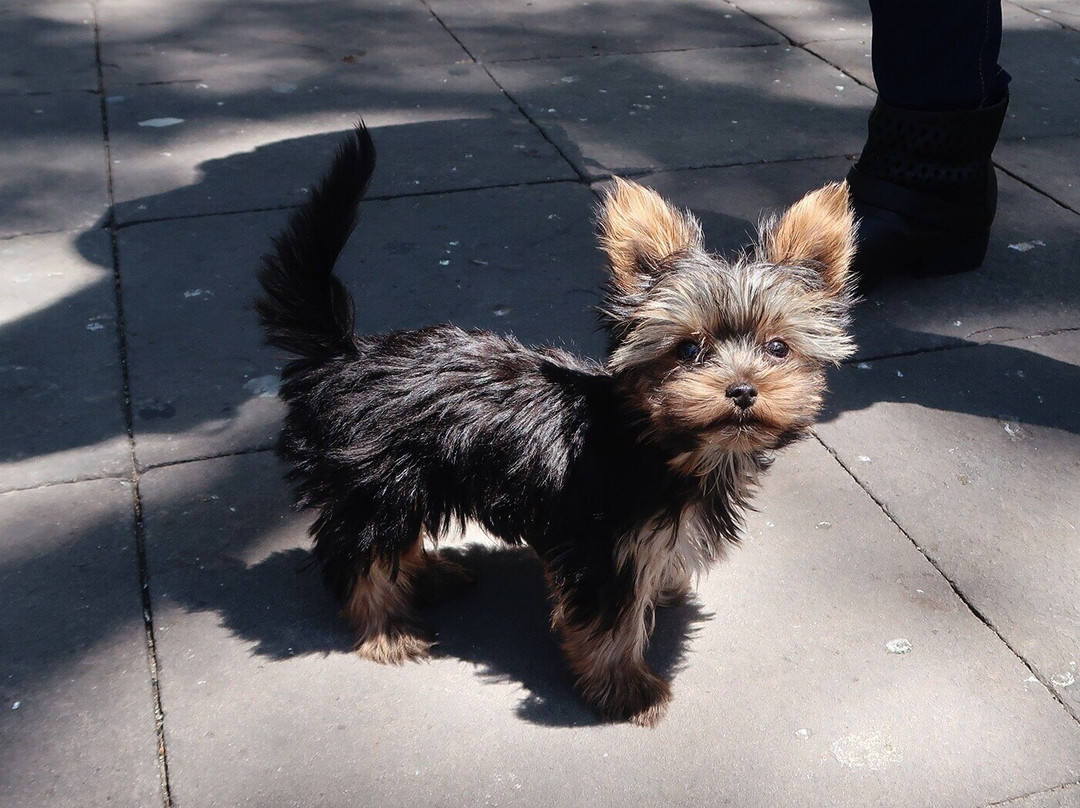 Plaza 25 de Mayo-苏克雷必去景点