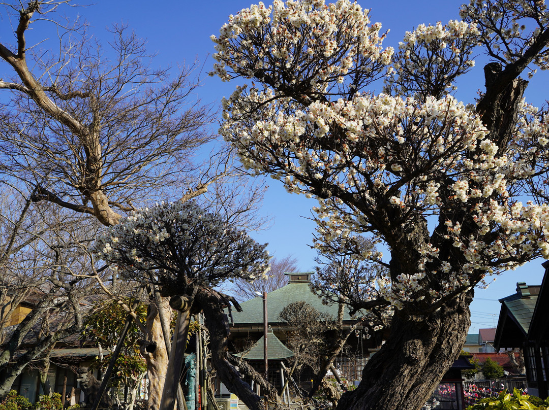 Ryusen-ji Temple景点图片