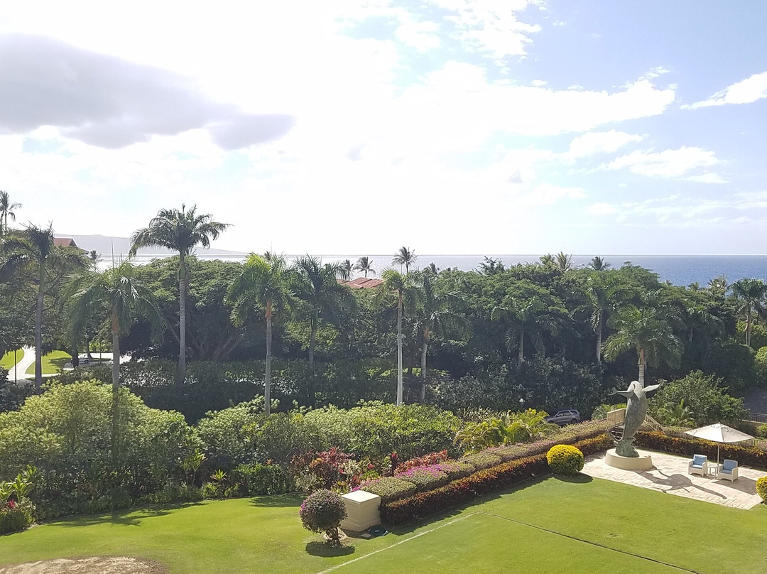 茂宜岛维雷亚四季酒店主图