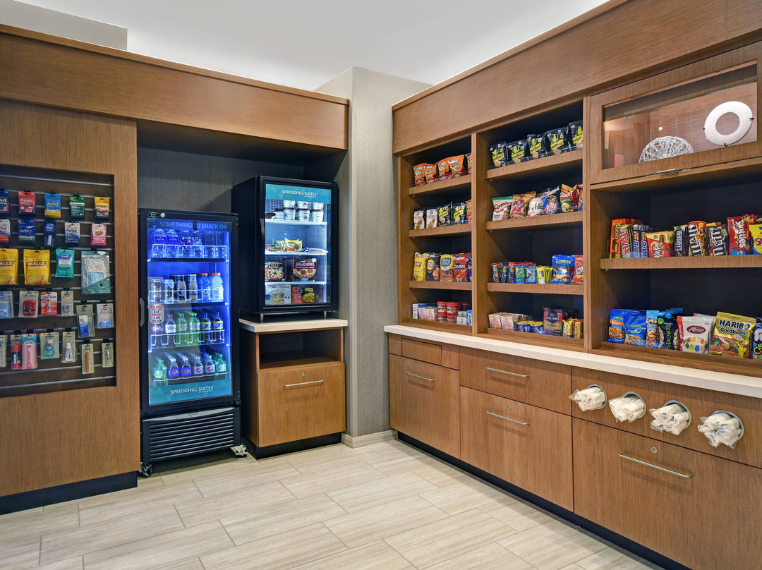 Springhill Suites St. Paul Arden Hills主图