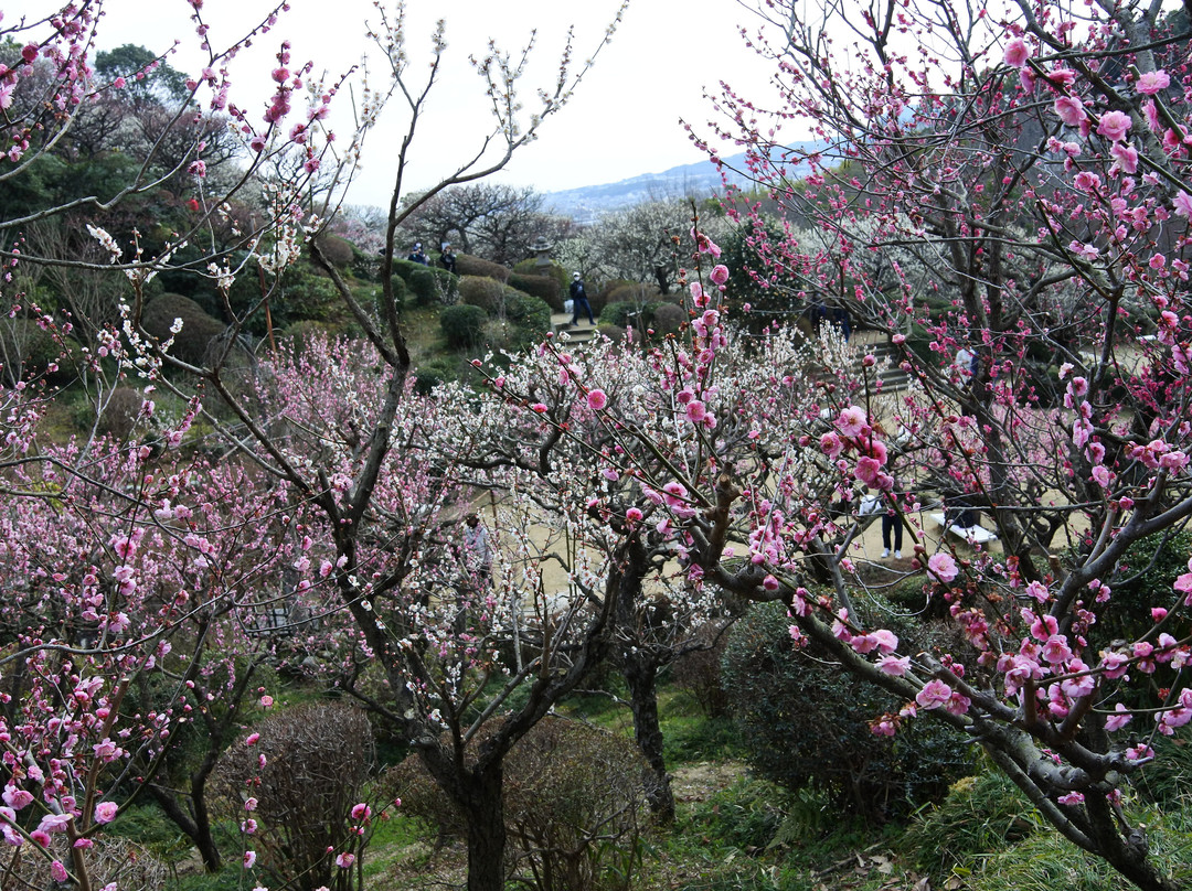 Nakayama Kannon Park-宝冢市必去景点