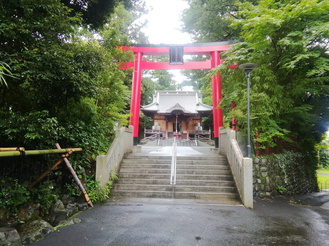 Shirasasainari Shrine-秦野市必去景点