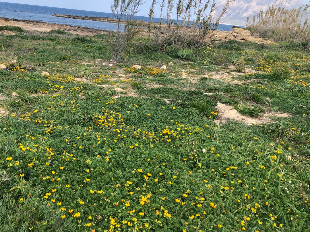 Lido Valderice-Valderice必去景点
