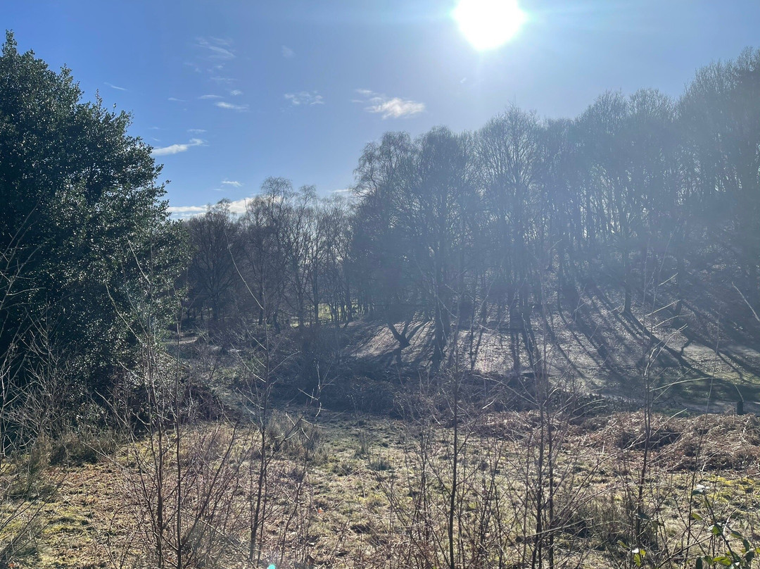 Habberley Valley Local Nature Reserve景点图片