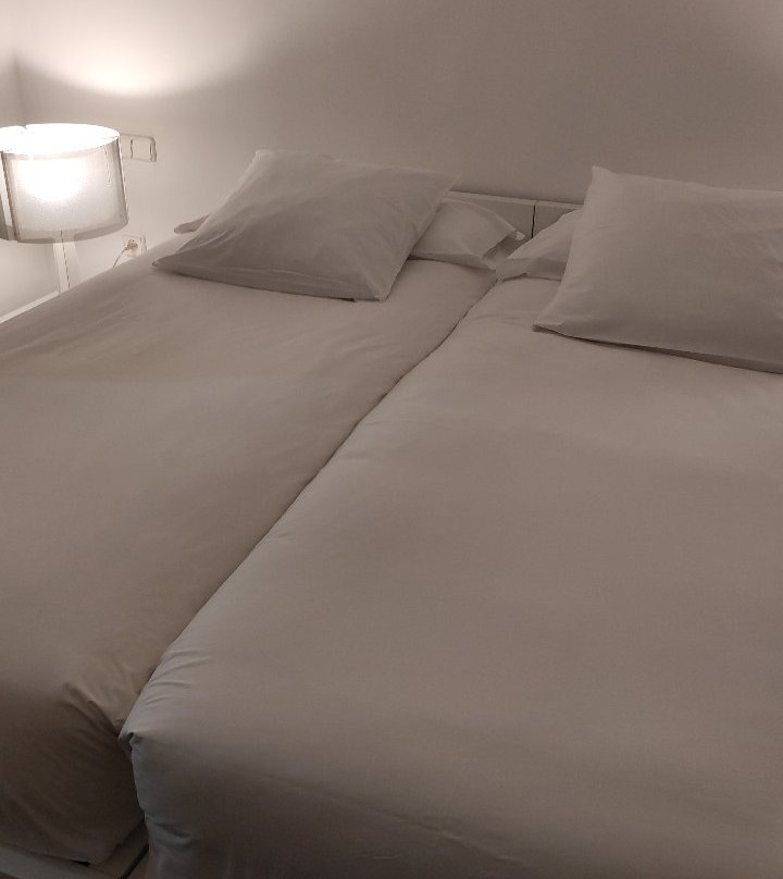 Hotel Nou Roma主图