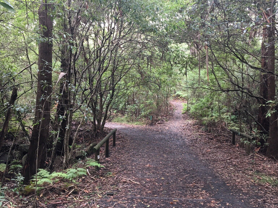 Greenfield Beach-文森提阿必去景点