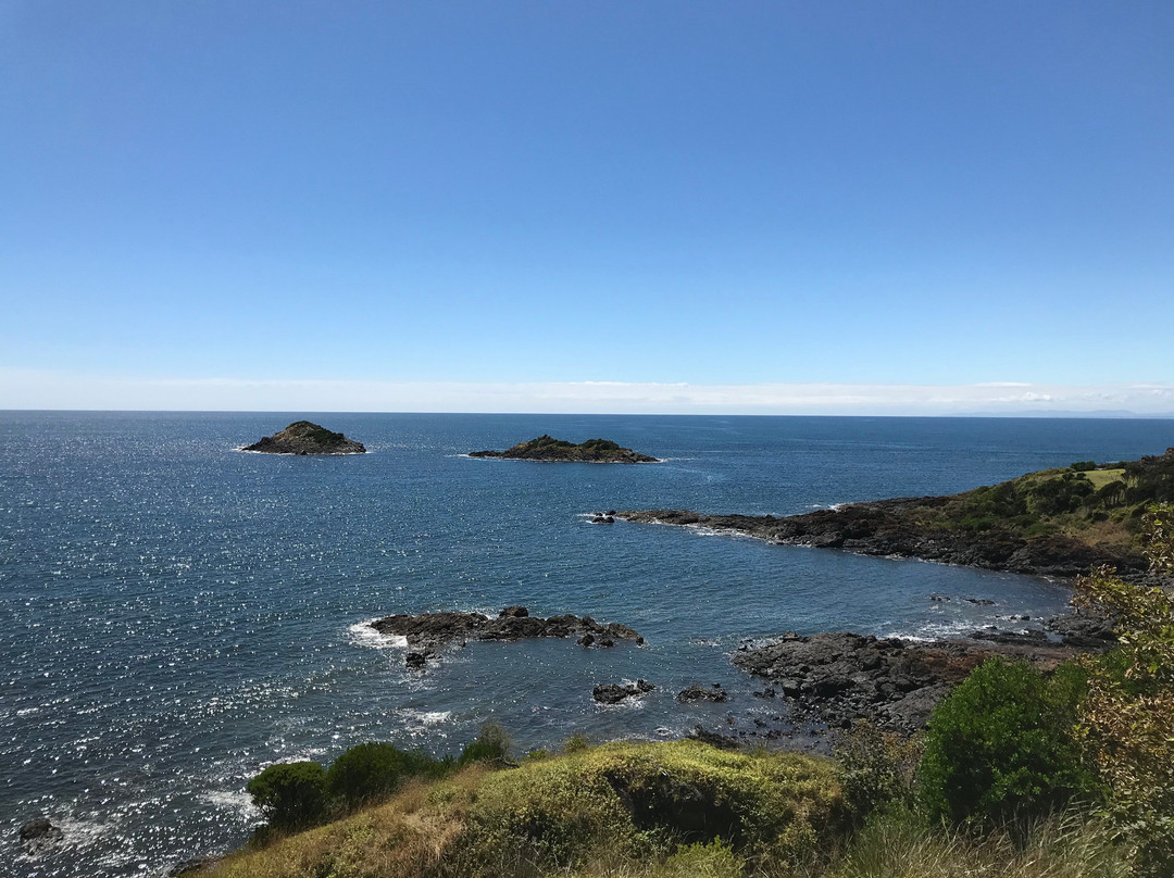 Three Sisters Reserve Lookout-Ulverstone必去景点