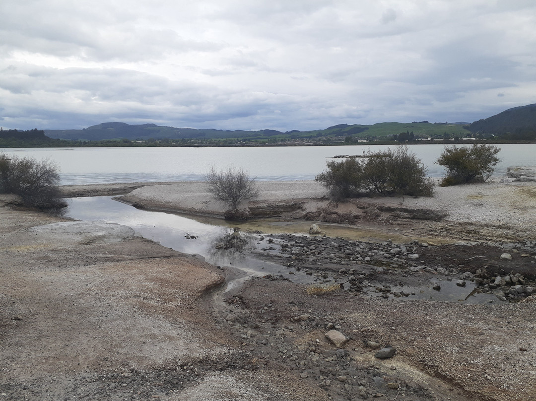 Sulphur Point-罗托鲁瓦必去景点