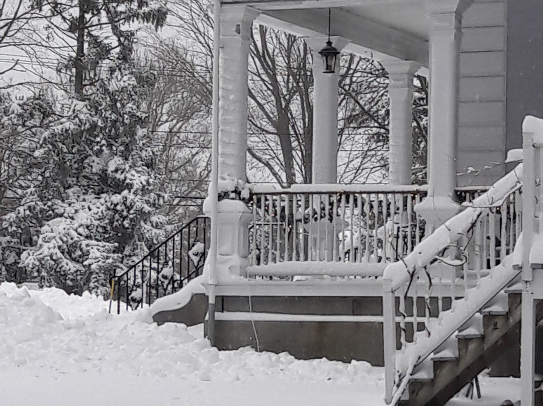 Proctor Mansion Inn主图