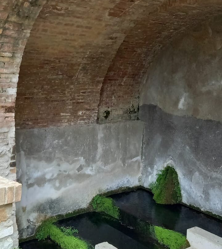 Fonte Vecchia景点图片