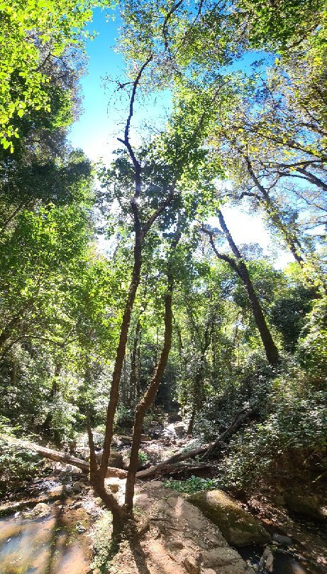 Cascada El Salto-Mazamitla必去景点
