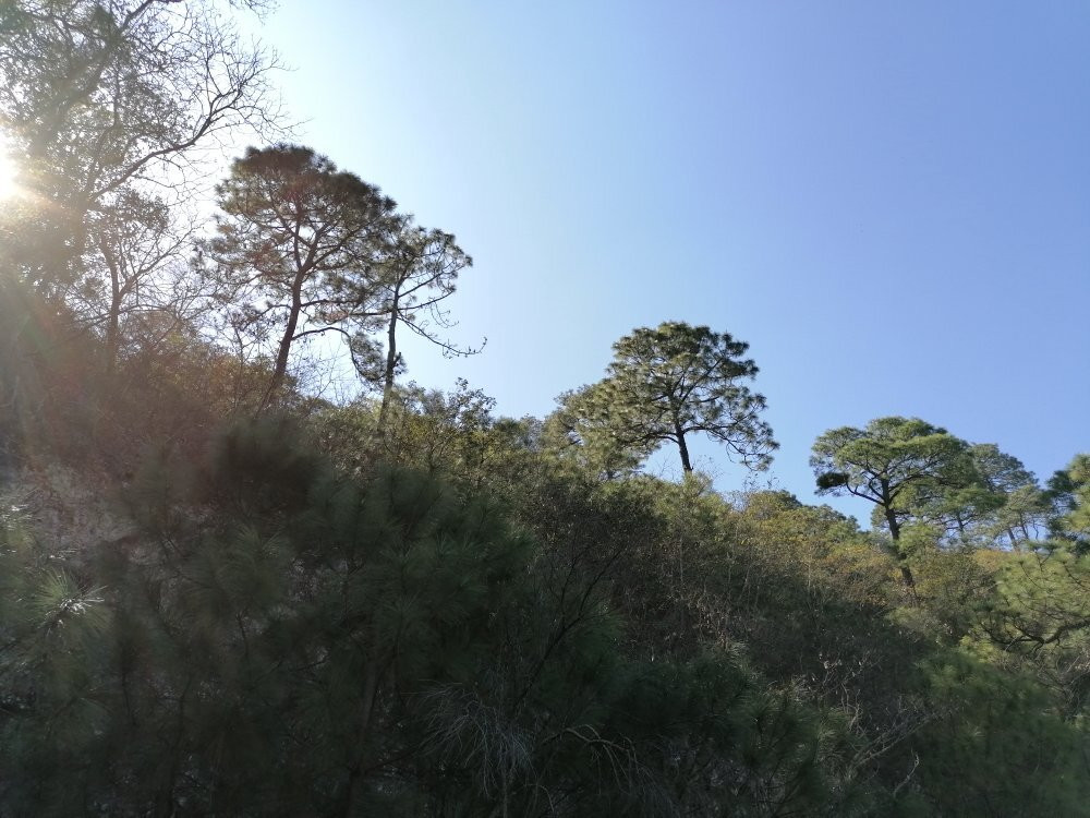 伊克罗杰克齐宾公园-圣佩德罗加尔萨加西亚镇必去景点