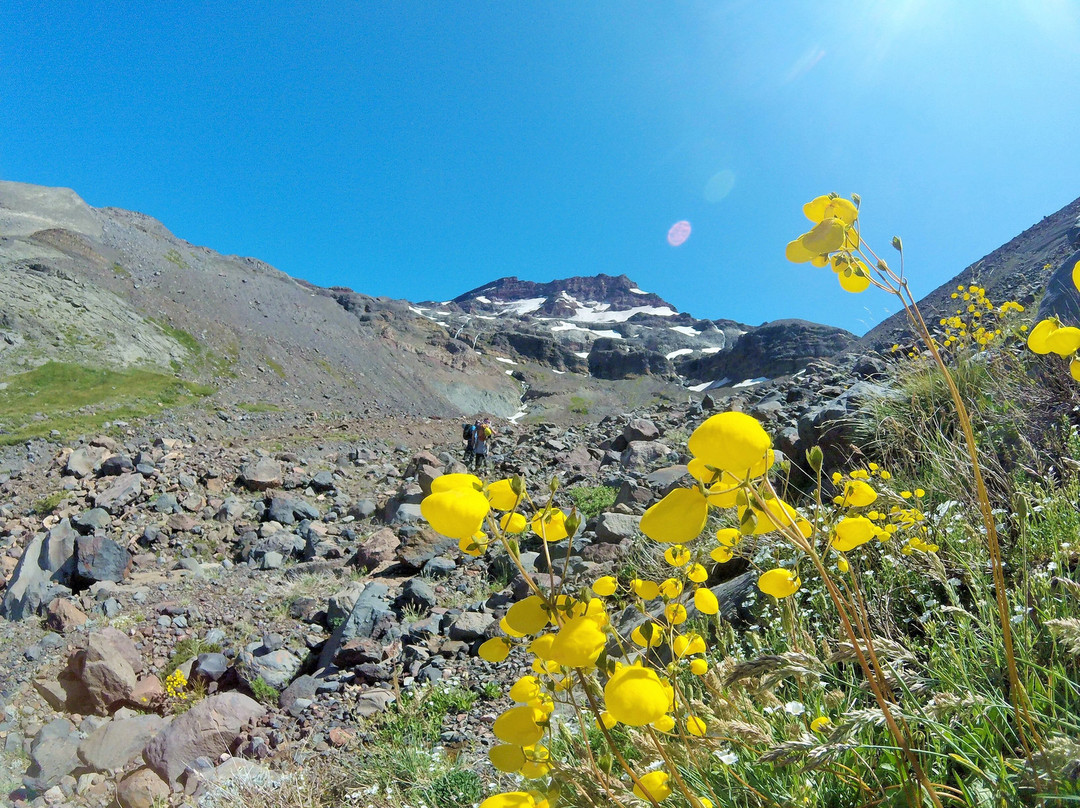 Tolhuaca Volcano-Curacautin必去景点