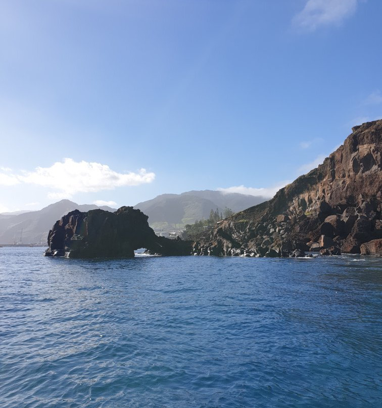 Madeira Sea Emotions Boat Tours景点图片