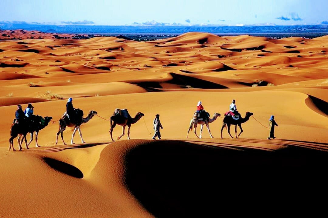 Sahara Holiday Tours-卡萨布兰卡必去景点