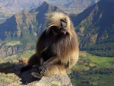 Ethiopia Trek Tour-Debark必去景点