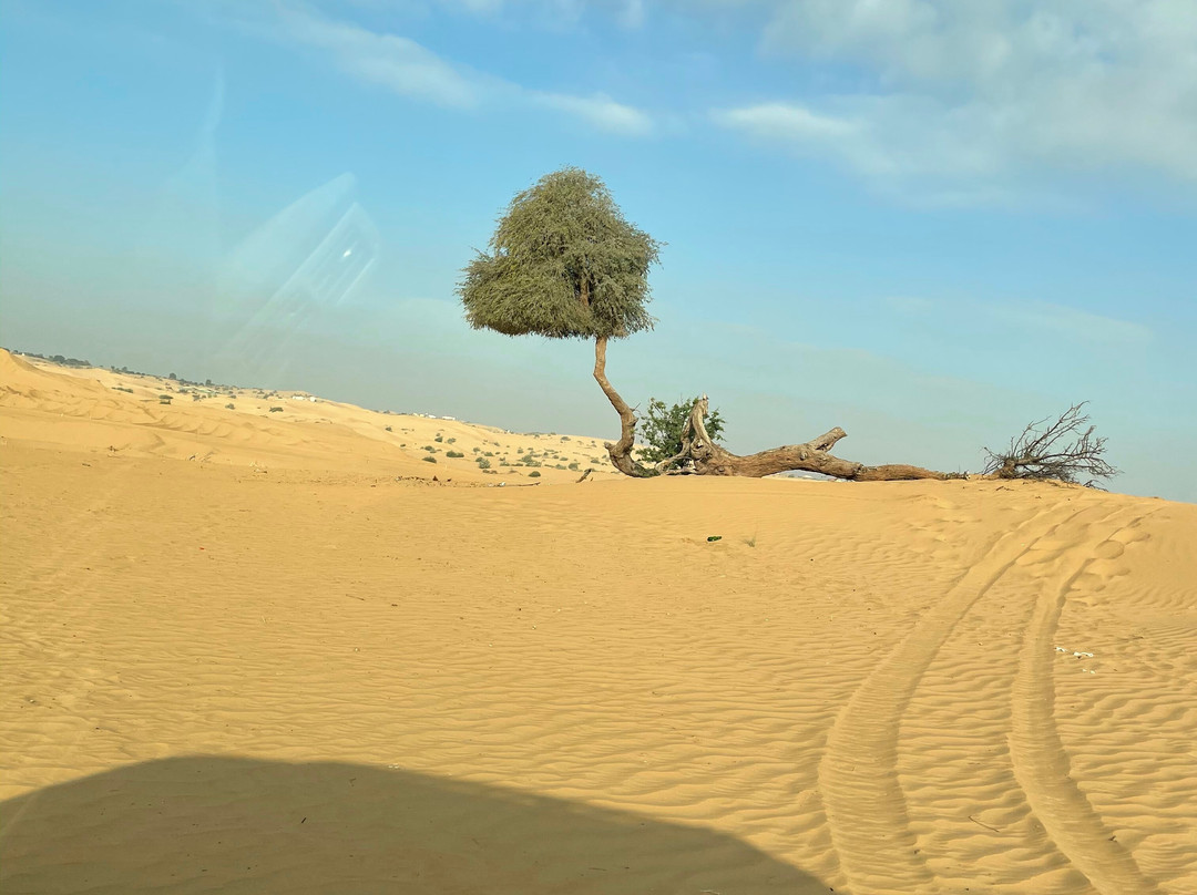 Royal Planet Tours & Safaris-迪拜必去景点