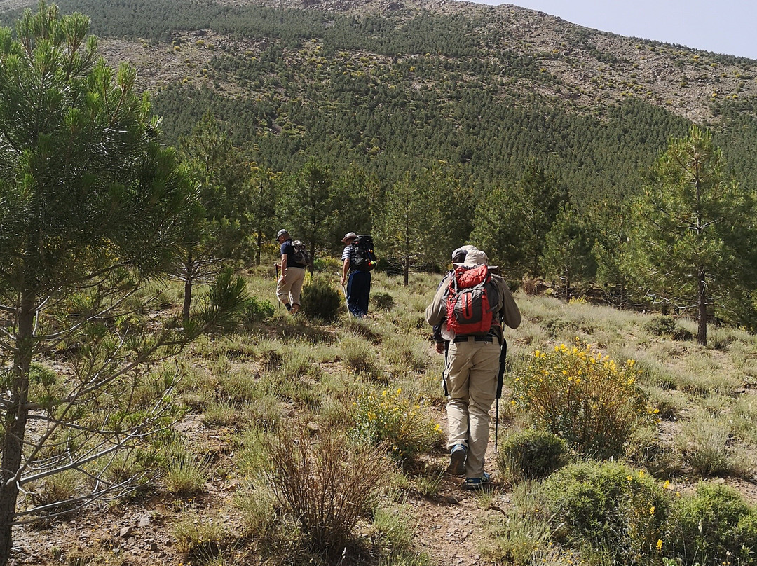 Trekking in Morocco-Asni必去景点