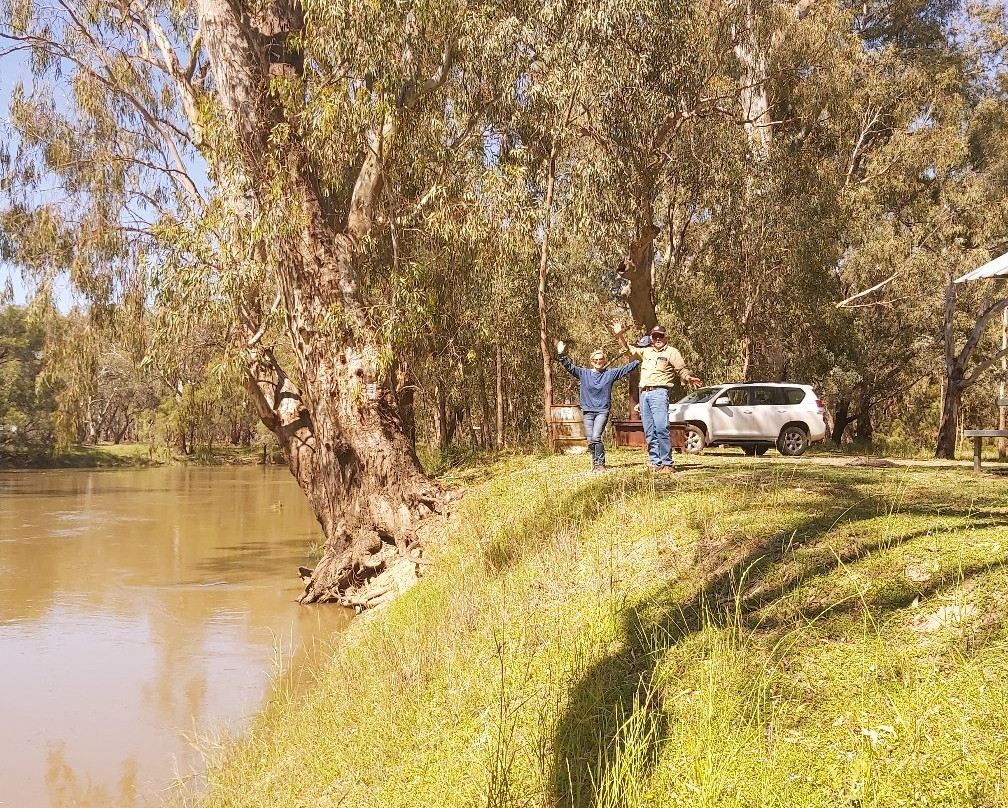2023年12月Lake Cargelligo旅游景点攻略Lake Cargelligo旅游住宿,Lake Cargelligo旅游美食猫途鹰