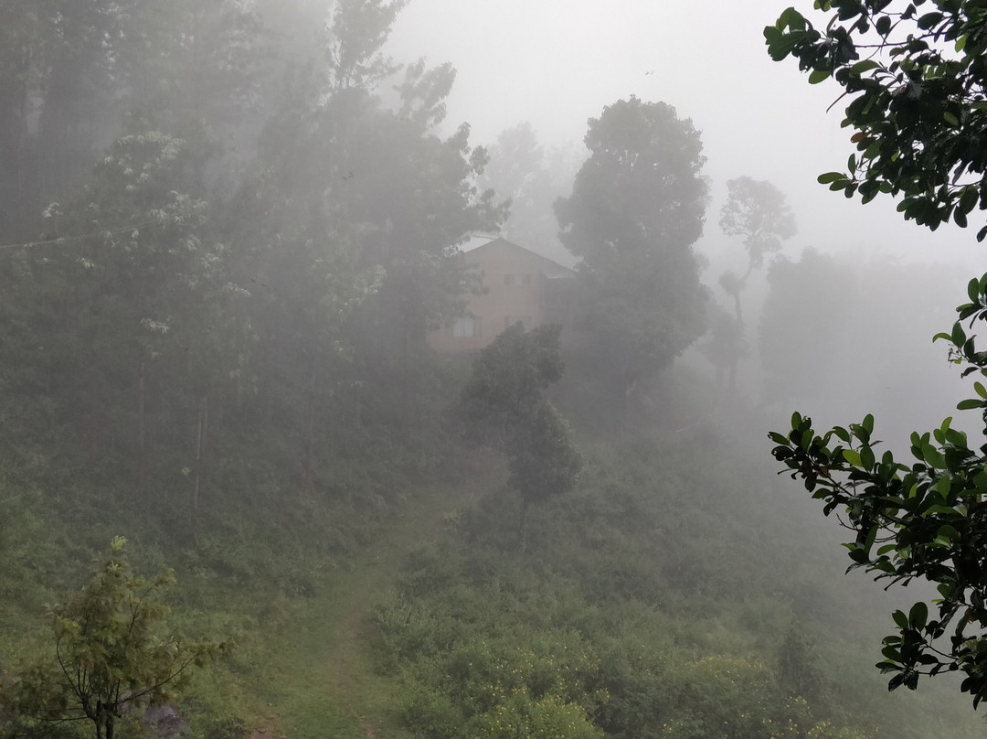 Oland Plantation Farm Stay主图