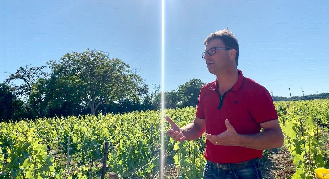 Domaine Céline & Frédéric Gueguen-Chablis必去景点