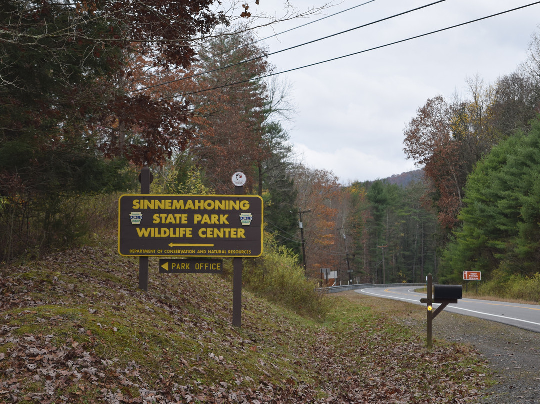 Sinnemahoning State Park景点图片