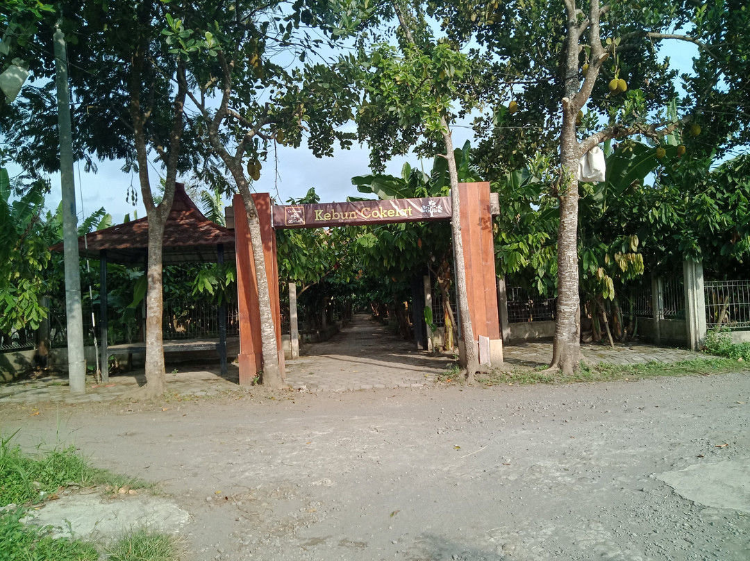 Kampung Coklat景点图片