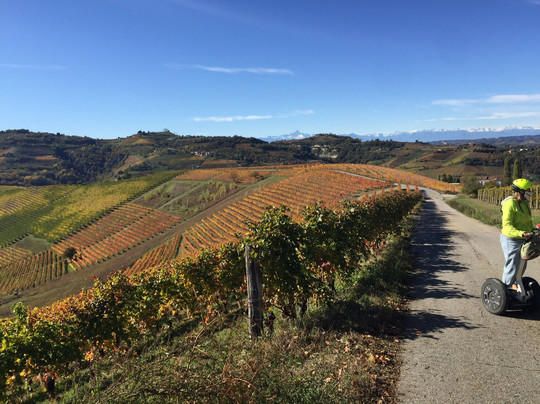 Albaway-阿尔巴必去景点