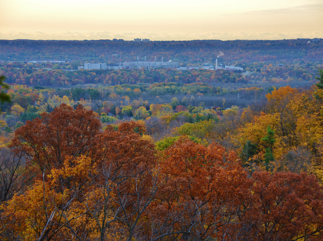 Borer's Falls Conservation Area-邓达斯必去景点